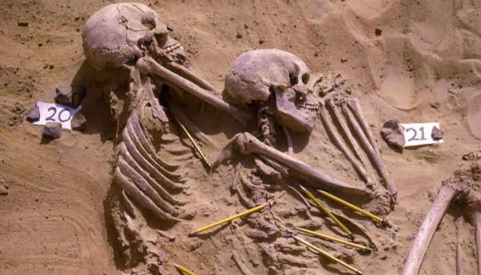 حملت بعض الرفات دلائل على جروح اندملت