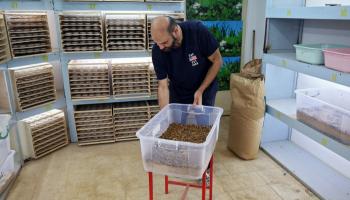 رجل الأعمال الكويتي جاسم محمد بوعباس