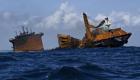 Sri Lanka : inquiétudes pour l'environnement après le naufrage d'un navire