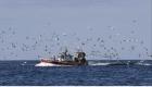 Pêche: L'UE et le Royaume-Uni trouvent un accord pour les prises en 2021