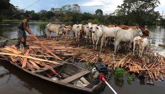 فيضانات غير مسبوقة تجتاح منطقة الأمازون في البرازيل