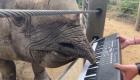 فيديو.. وحيد قرن يعزف أغنية عيد ميلاده على بيانو