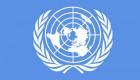 BM Özel Raportörü'nden ağır eleştiri