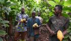   Côte d'Ivoire : demande croissante sur le chocolat éthique 