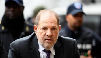 هارفي واينستين 