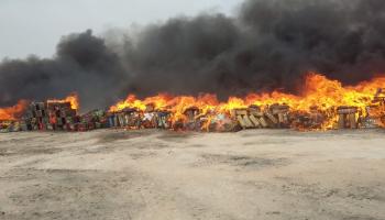 صورة من الأرشيف