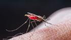 بعد نجاحها مع كورونا.. تقنية تلهم العلماء لتطوير لقاح ضد الملاريا