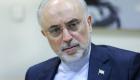 صالحی: مشکلات مالی مانع از تولید برق هسته‌ای کافی در ایران