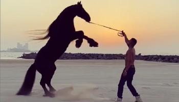 محمد رمضان في مقطع من الأغنية