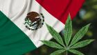 Le Mexique dépénalise la marijuana