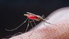 لأول مرة منذ 70 عاما.. الصين خالية من الملاريا