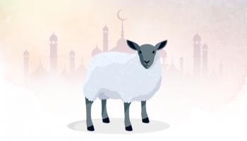 12 نصيحة عند شراء أضحية العيد