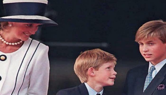 الأميرة ديانا برفقة نجليها هاري ووليام - أرشيفية