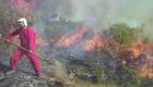 آتش‌سوزی بیش از ۱۰۰ هکتار دیگر از اراضی میانکاله را خاکستر کرد