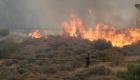 اليونان.. اندلاع حريق في غابات جزيرة كيفالونيا