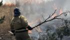 إخماد 116 حريقا للغابات خلال يوم واحد في روسيا