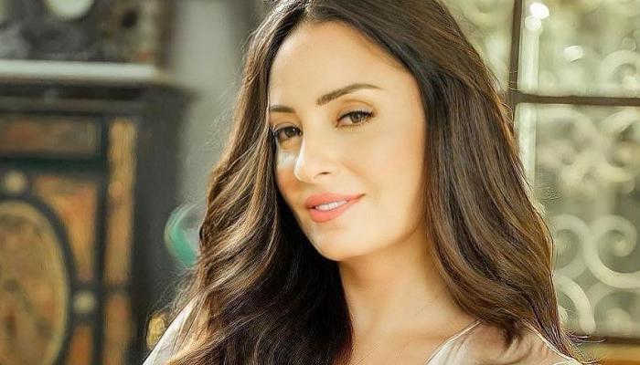 الفنانة المصرية نرمين الفقي