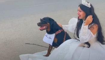 البلوجر هبة مبروك والكلب في جلسة التصوير