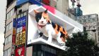 Japon: un énorme chat effraie les japonais à Tokyo