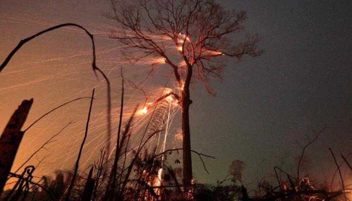 حرائق الغابات في قبرص