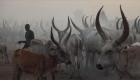 حرب الأبقار في جنوب السودان.. دوامة النهب تقتل 14 شخصا