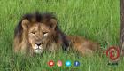 حديقة أديس للحيوانات البرية بإثيوبيا.. وجهة سياحية للعلماء والباحثين