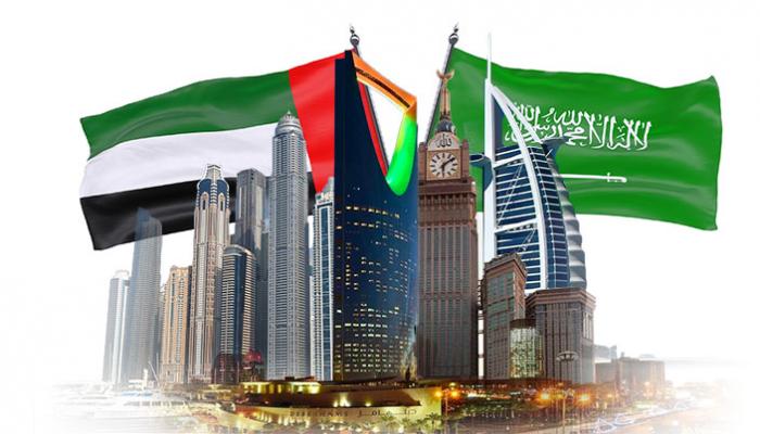 شراكة اقتصادية عميقة تربط الإمارات والسعودية