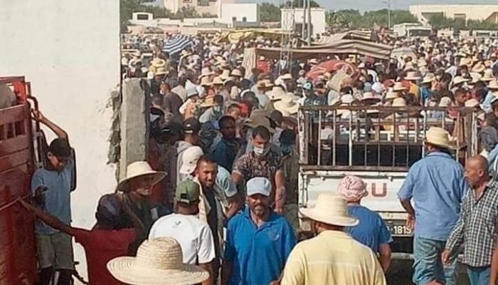 أسواق الأضاحي في تونس