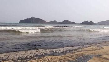 بقع الزيت الكبيرة تسربت إلى شواطئ عدن