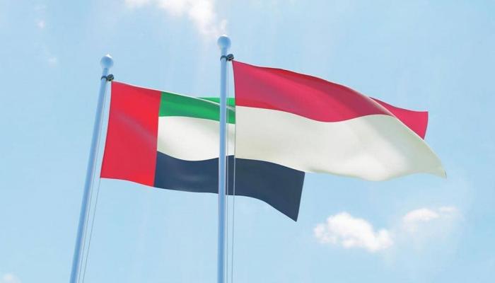 مساعدات طبية إماراتية إلى إندونيسيا- تعبيرية