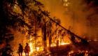 فرنسا تكافح حريق غابات ضخم أثر على 100 ألف أسرة 