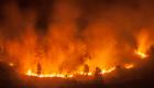 حريق غابات يخرج عن السيطرة في إسبانيا.. دمر 1100 هكتار 