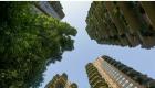 En images : à travers le monde, les grandes villes se végétalisent
