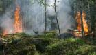 فنلندا تكافح لإخماد حرائق الغابات.. الأسوأ منذ 50 عاماً