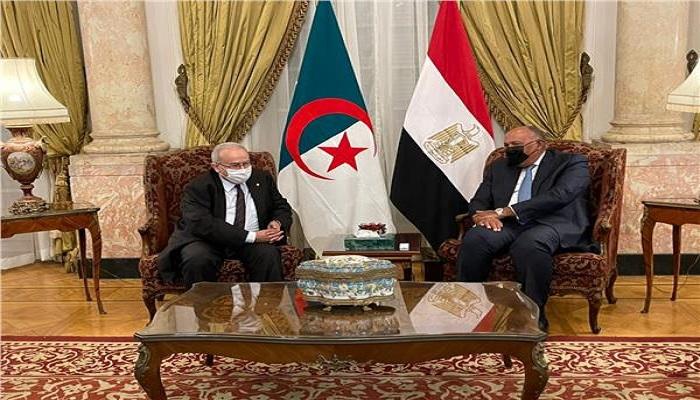 وزيرا الخارجية المصري سامح شكري والجزائري رمطان لعمامرة