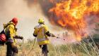 Incendies en Turquie: l'UE intervient pour sauver le pays de l'incendie catastrophique
