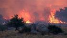 Bulgarie: les incendies de forêts tuent deux forestiers 