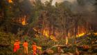 Orman yangınlarında 10. gün: 6 ilde 14 yangın devam ediyor