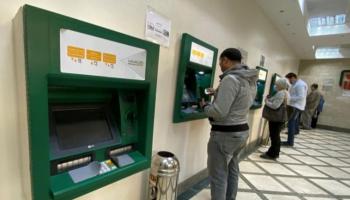 استقرار سعر الدولار في مصر 