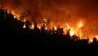 حرائق غابات تأتي على حوالي 150 ألف هكتار في كولومبيا
