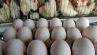 ایران | افزایش 16 برابری قیمت شانه تخم مرغ 