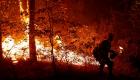 صور.. 8 مفقودين في حريق غابات بشمال كاليفورنيا