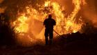 صور.. حرائق الغابات تستعر لليوم السابع في جزيرة إيفيا اليونانية
