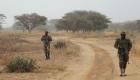 15 قتيلا في هجوم إرهابي غربي النيجر