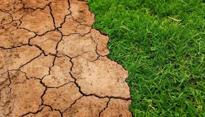 الجفاف هو انعكاس للتغيرات المناخية الحالية