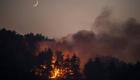 Grèce : des incendies ravagent près de 100.000 hectares en deux semaines