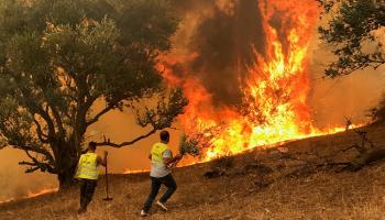 نشوب 5 حرائق جديدة بولاية تيزي وزو في الجزائر