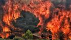 Algérie: Plus de 20 personnes soupçonnées d'être à l'origine des incendies de forêt arrêtées