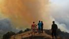 Algérie : la majorité des feux de forêt sont en voie d'extinction