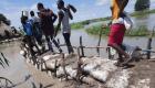 الفيضانات في جنوب السودان.. الثعابين تفاقم الخراب والجوع والأمراض